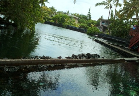 champagne ponds hawaii