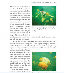 Swim in Jellyfish Lake a Bucket List Journey p 219