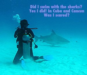 Dec News: Did I swim with the sharks? Was I scared?