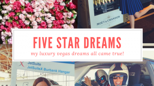 My Luxury Five Star Dreams Came True in Vegas